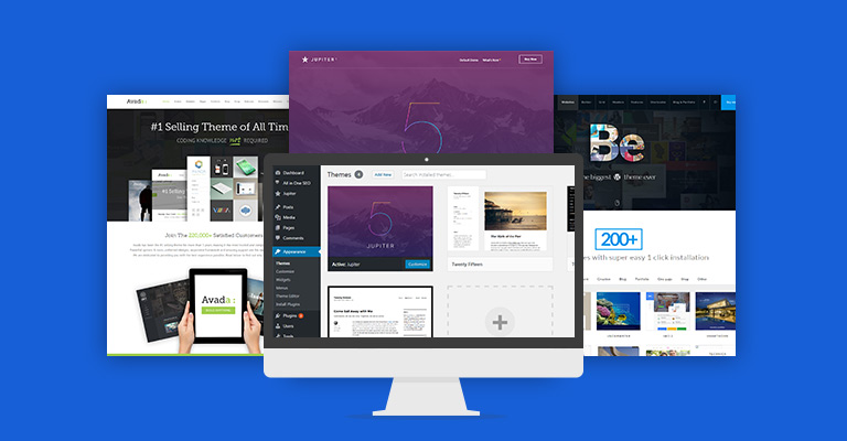 install Free & Paid WordPress themes