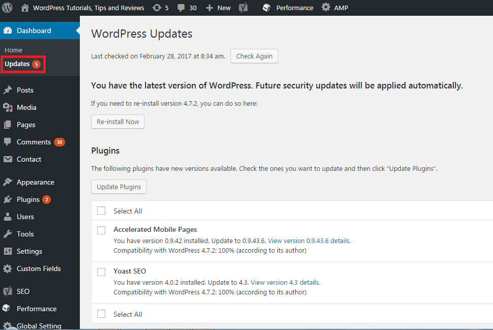 WordPress theme update