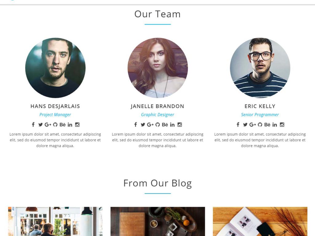 Intergral WordPress theme our team section
