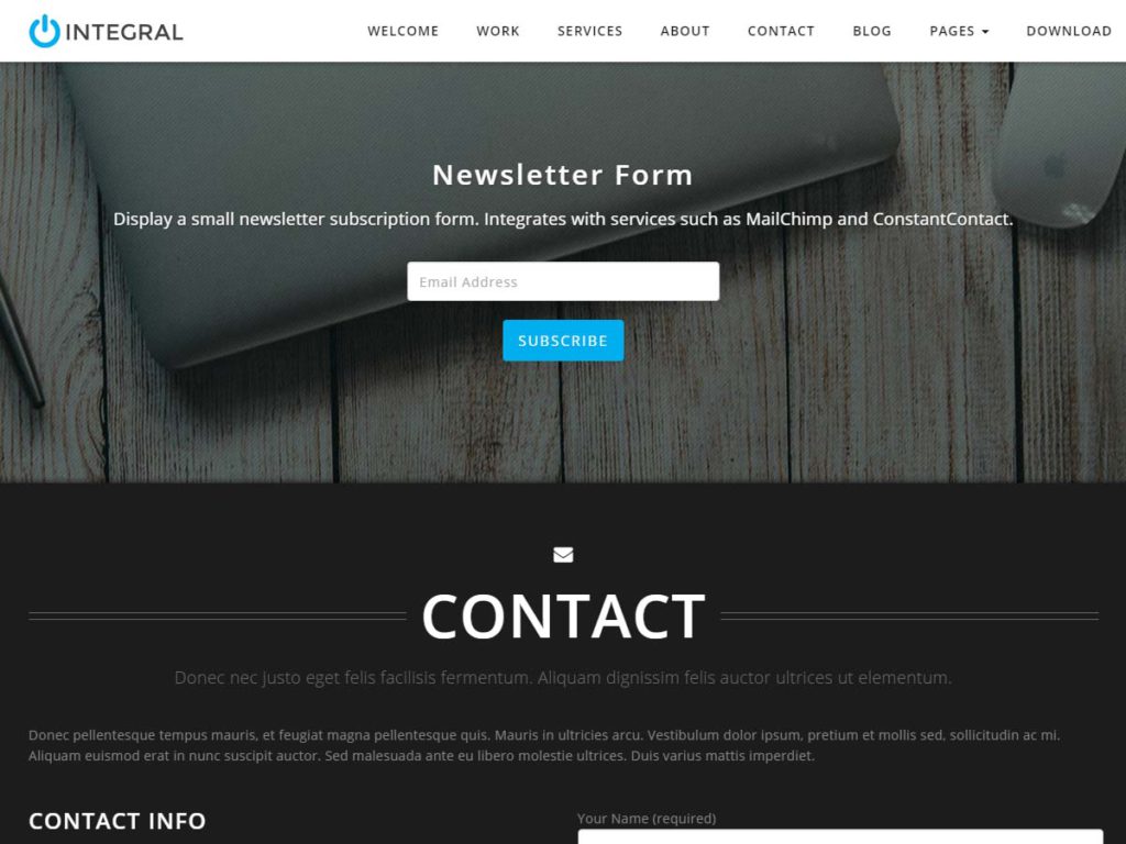 Intergral WordPress theme newsletter section