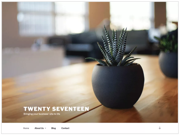 Twenty Seventeen Theme