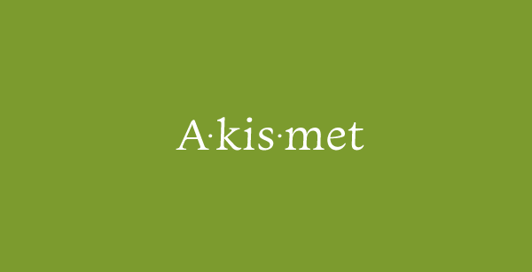 Akismet wordpress spam plugin