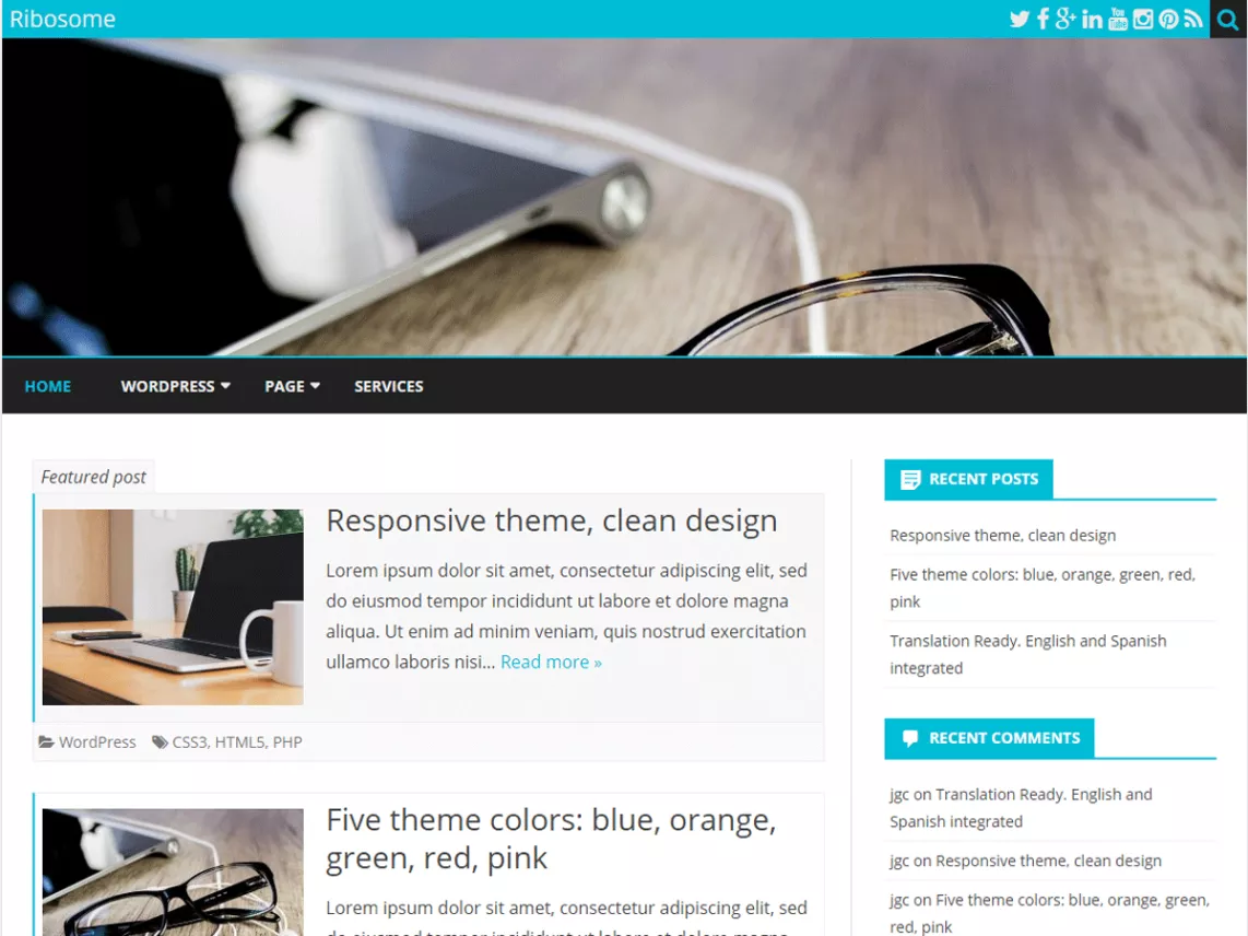 Ribosome WordPress Theme for blogging