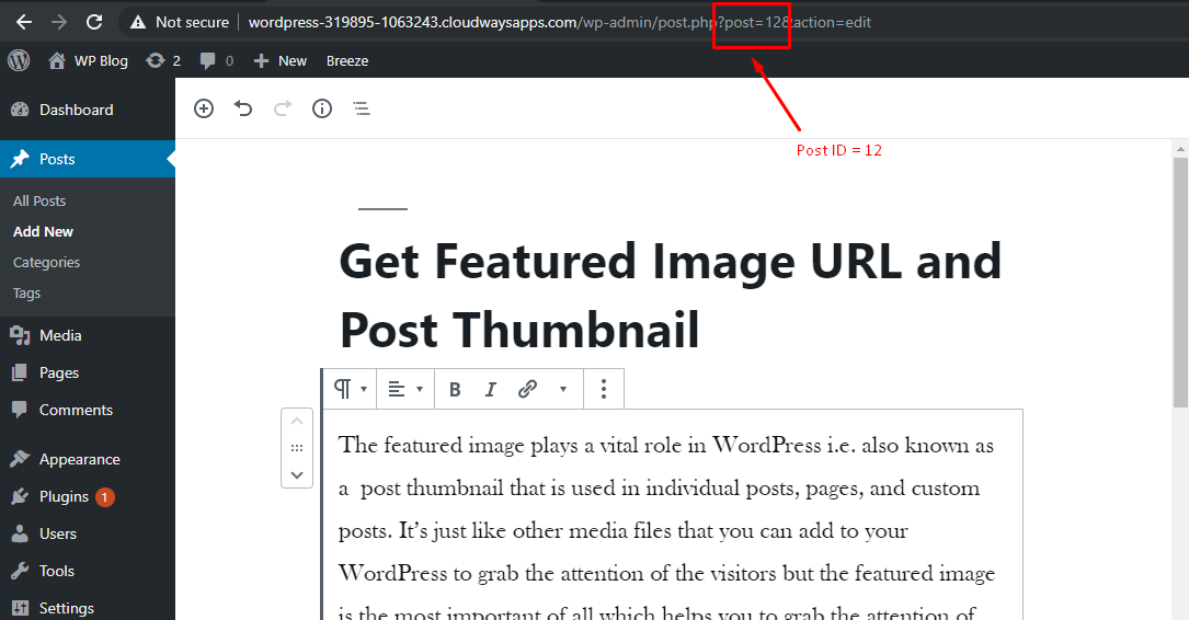 Get Featured Image URL and Post Thumbnail