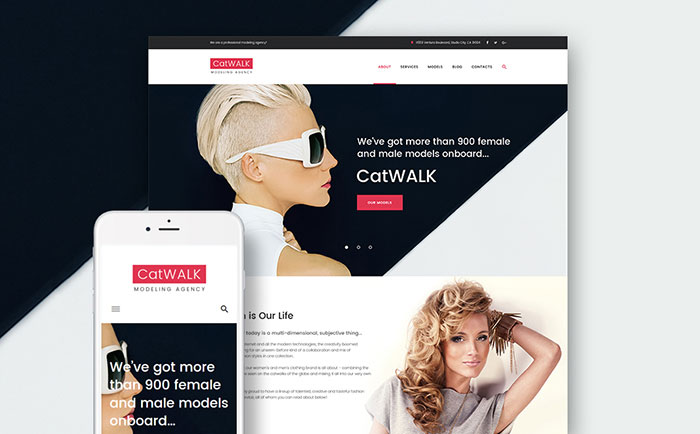 Catwalk - Fashion Style WordPress Theme