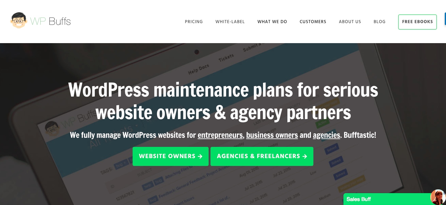 WP Buffs WordPress maintenance support services Provider