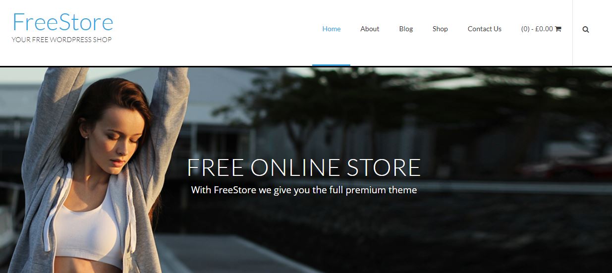 FreeStore woo commerce themes