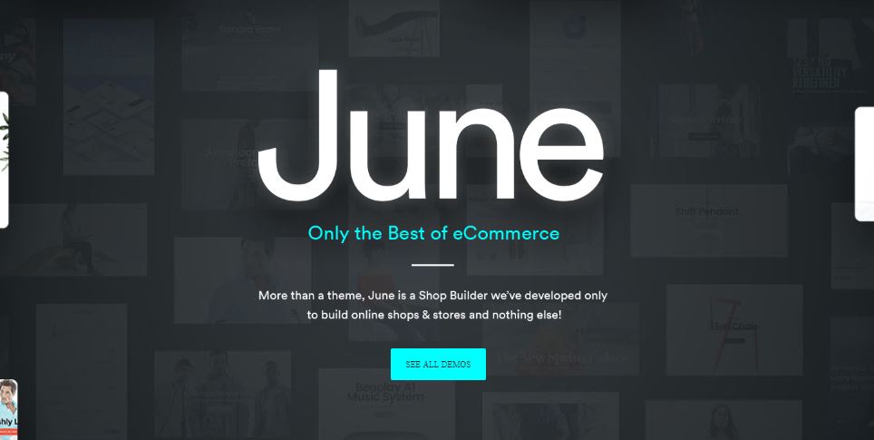 June best minimal wp themes