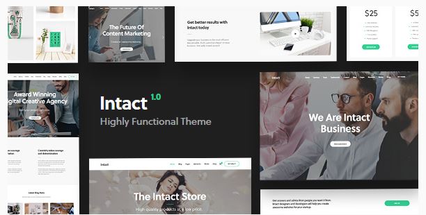 Intact WordPress Theme