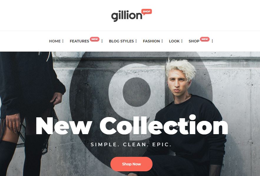 Gillion best wordpress themes for adsense