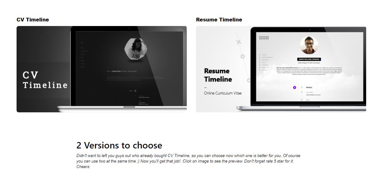 CV Timeline wp resume theme