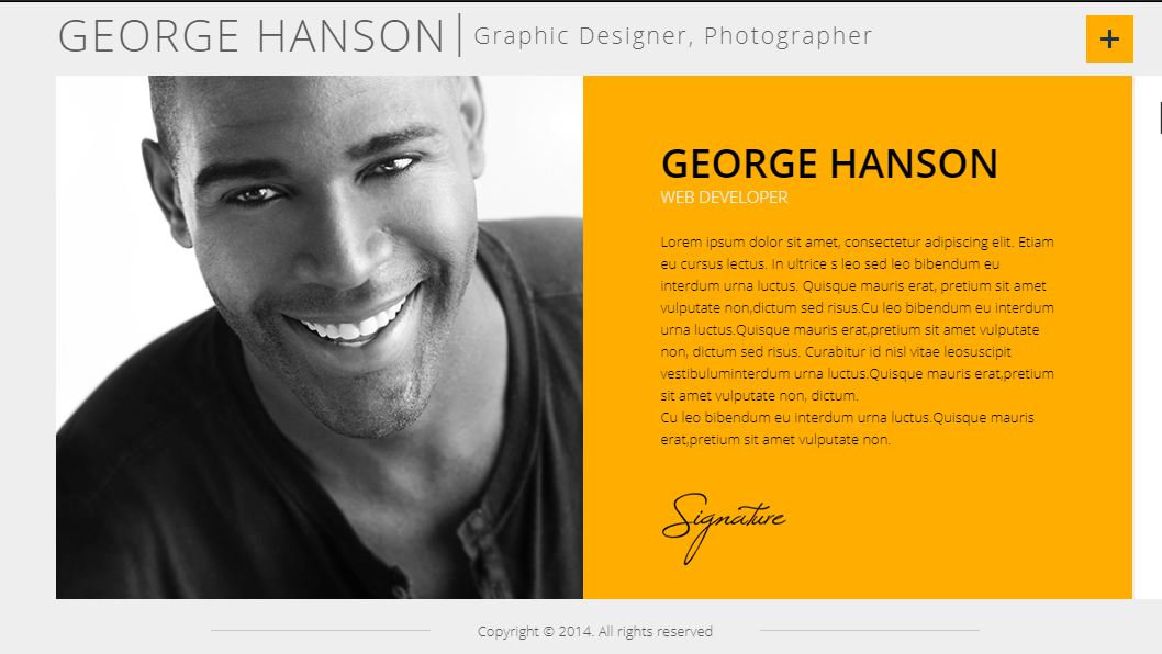 Profession Onepage CV Resume WordPress Theme