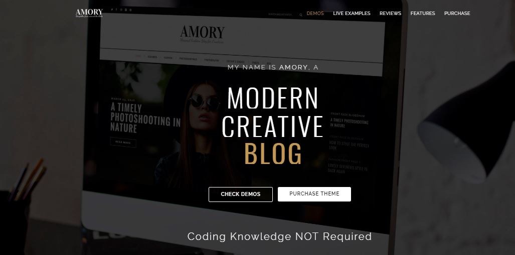 Amory wordpress themes for fashion blogs