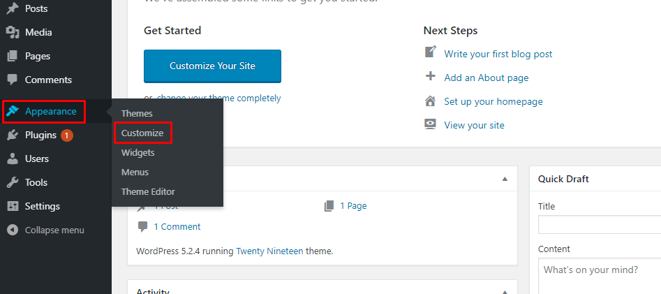 theme Appearance Customize section in wordpress