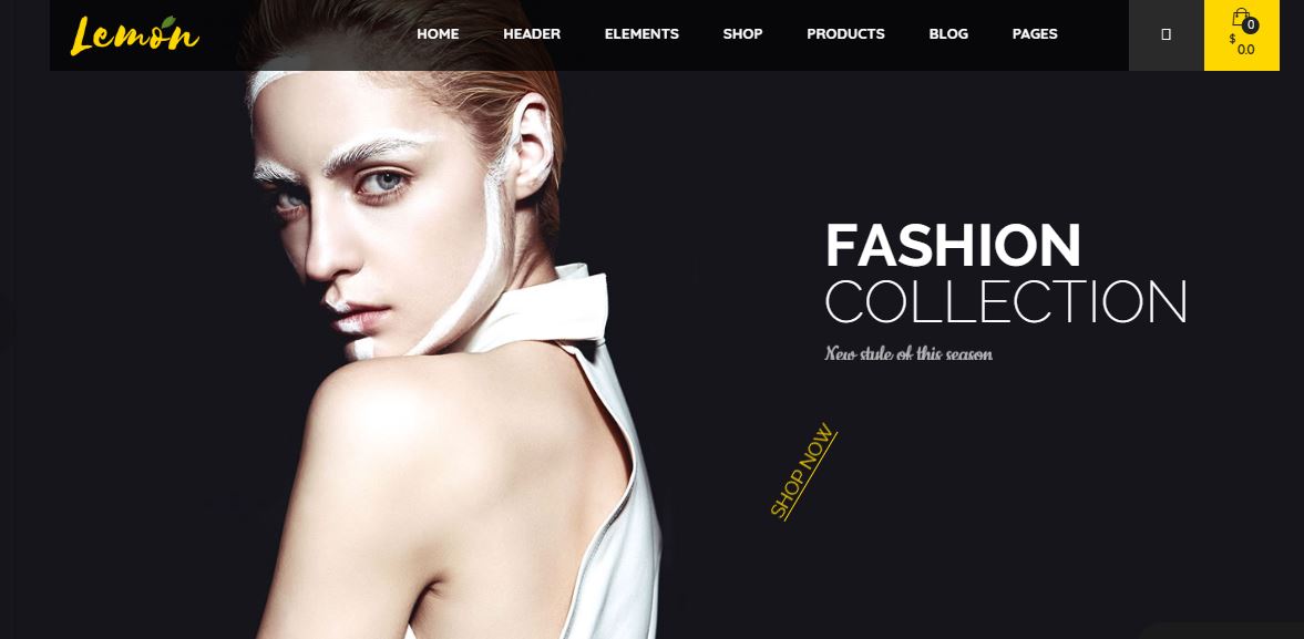 Lemom fashion blogger wordpress themes