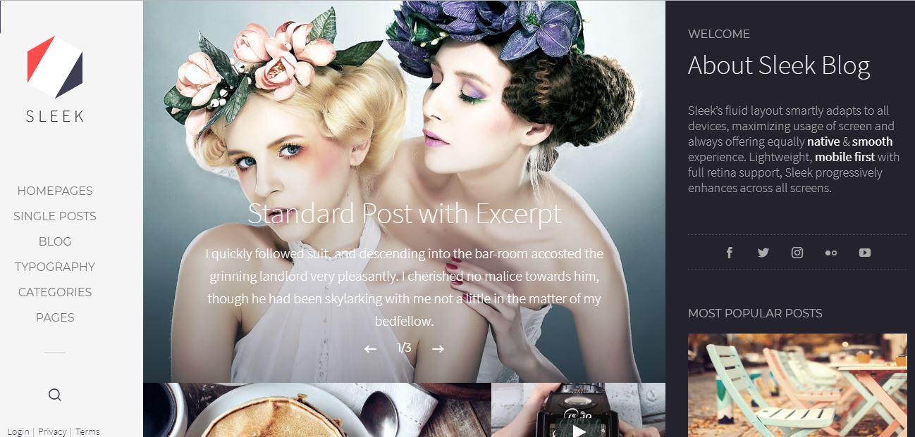 Sleek free fashion wordpress theme