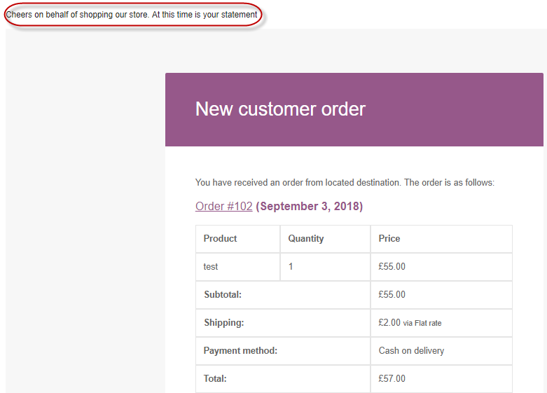 WooCommerce Customize Email - Result