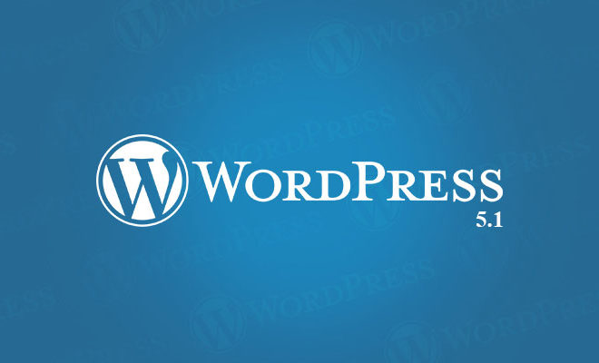 wordpress 5.1